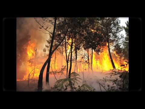 Greenpeace celebra el descenso de incendios forestales en España