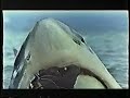 Cruel Jaws (1995) - Shark vs. the Mob Cruel Jaws (1995) - Shark vs. the Mob