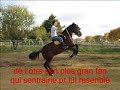 passion rejoneo