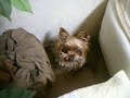 His private retreat