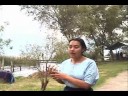 Reportaje brenda