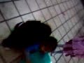 Perre _ando ;P