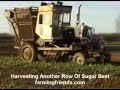 Harvesting Sugar Beet The Final Countdown!.wmv