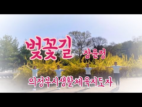 [건강체조] 벚꽃길(장윤정) - 의정부시생활체육지도자