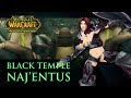 WoW - Naj'entus - Pally Tank