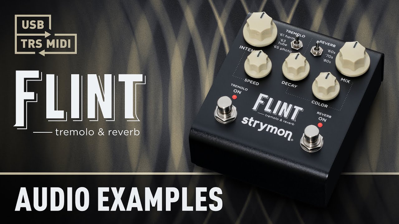 FLINT tremolo \u0026 reverb