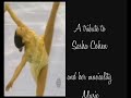 sasha cohen musica e