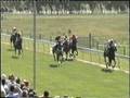 videos de Healesville Race 4 15th November 2008