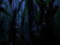 3 scene from Freddy vs Jason, with Katharine Isabelle