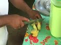 herbolaria maya