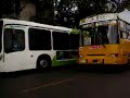 dimex y volvo