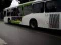 dimex y volvo
