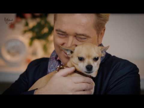 Lillibed TGL - Hundeautositz