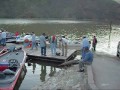 Tercer Torneo Internacional de Pesca Deportiva El Novillo Tercer Torneo Internacional de Pesca Deportiva El Novillo