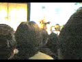 BEPPE GRILLO Monnezza day 3-3
