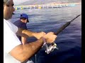 JIGGING FROM MARINA DI CAMEROTA