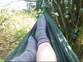 Chilling in the Woods, Rambling into new territory Chilling in the Woods, Rambling into new territory