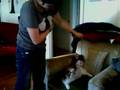 YouTube - grep on catnip