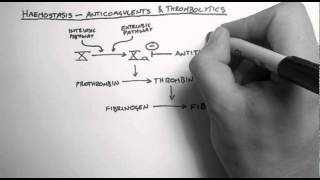 Haemostasis 3 - Anticoagulants & Thrombolytics