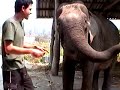 Elephantitis in Northern Thailand Part 1