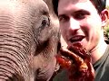 Elephantitis in Northern Thailand Part 1