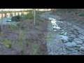 LA River Story - Tujunga Wash Greenway Project