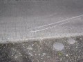 MOV07703