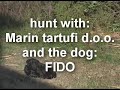 Truffle hunt in Croatia Istria