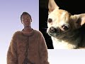 Movie Monster: Beverly Hills Chihuahua Movie Monster: Beverly Hills Chihuahua