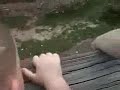 monkey-peeing-in-his-own-mouth.html