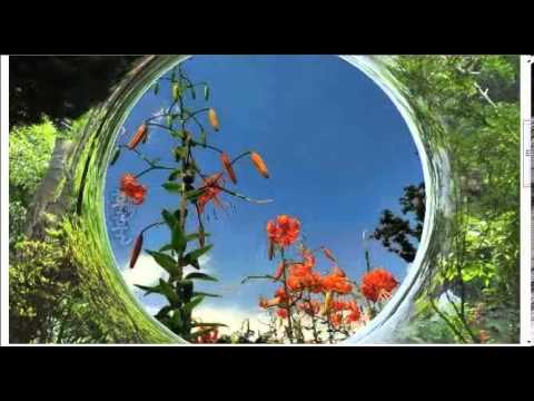 나에게도 그런 사람이 있으면 좋겠네 - 김정한