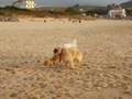 Pastor Vasco video