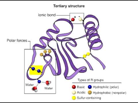 tertiary - 