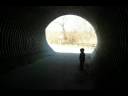 The Echo Experiment - 23 months