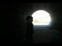 The Echo Experiment - 23 months