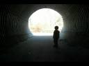 The Echo Experiment - 23 months