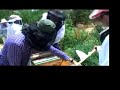 les crowder demonstrates various aspects of top bar bee keeping to his ecoversity students
