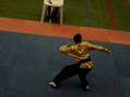 Campeonato Mundial de Kung Fu