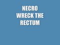 NECRO / WRECK THE RECTUM