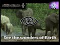 AxiomSoul - Astral Travel AxiomSoul - Astral Travel
