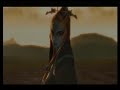 Zelda Tiwlight Princess (Animal I Have Become)