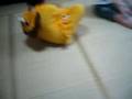 Ooh cuTe LioN :P