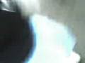 videos de diego e gordo * israel vibration