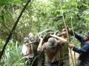 Curso de Sobrevivência - Selva !!! Curso de Sobrevivência - Selva !!!