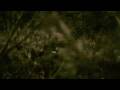 Wild Ocean - Deo (PV feat. Tara Blaise)