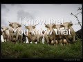 Michal Hromcik feat. Robert Krestan - To Vis, Kravy (You Know Them Cows)