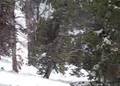 jackson hole 06