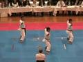 10th Funakoshi Gichin Cup - JAPAN Team