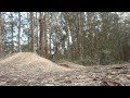 practice_session0312 - 