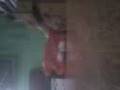 skarry2